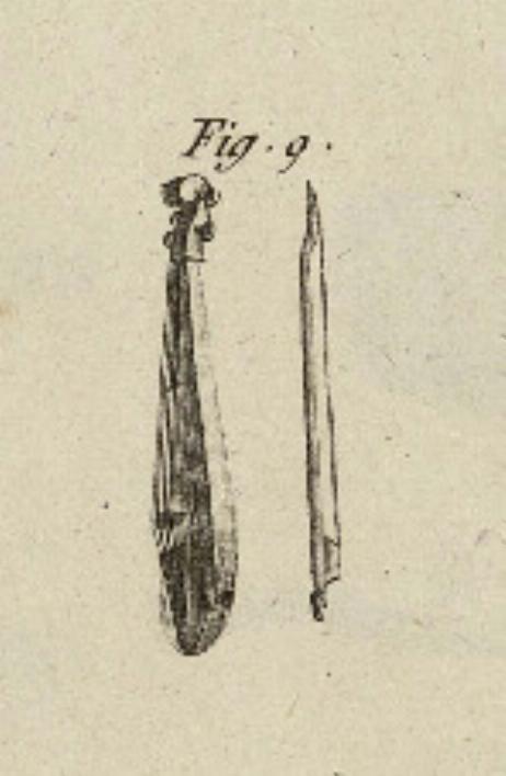 DIDEROT Denis & D'ALEMBERT Jean Le Rond  - Poche avec son archet