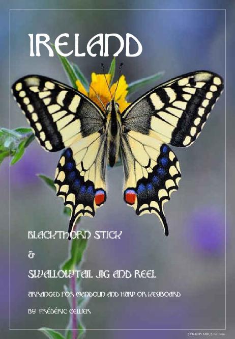 ANONYMOUS - Blackthorn Stick & Swallowtail Jig and Reel